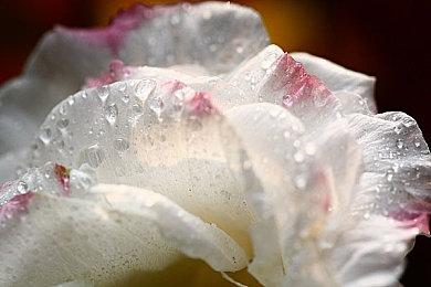 《轩辕剑外传 云之遥》Steam页面上线 明年1月12日发售